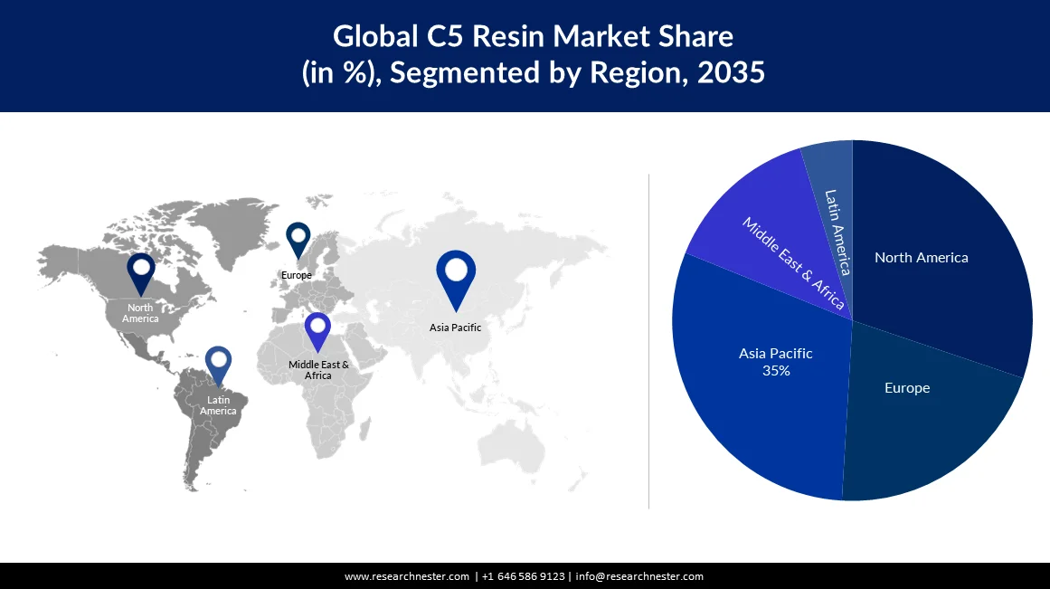 C5 Resin Market Size